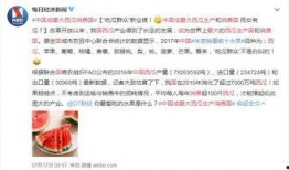 吃瓜爆料在线入口网址 朝阳吃瓜群众网,吃瓜爆料在线入口网址全解析